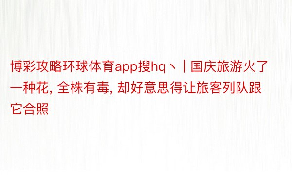 博彩攻略环球体育app搜hq丶 | 国庆旅游火了一种花, 全株有毒, 却好意思得让旅客列队跟它合照