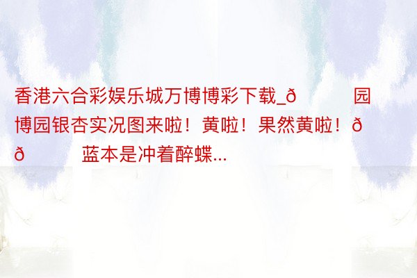香港六合彩娱乐城万博博彩下载_🍂园博园银杏实况图来啦!黄啦!果然黄啦!🍂 🌟蓝本是冲着醉蝶...