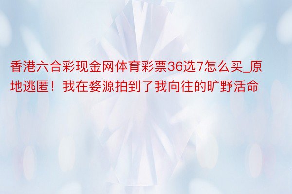 香港六合彩现金网体育彩票36选7怎么买_原地逃匿!我在婺源拍到了我向往的旷野活命
