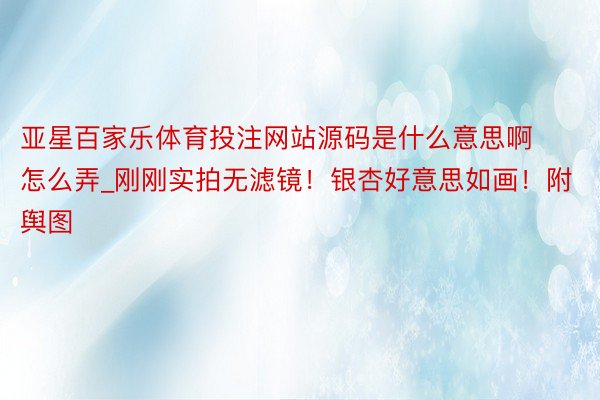 亚星百家乐体育投注网站源码是什么意思啊怎么弄_刚刚实拍无滤镜!银杏好意思如画!附舆图