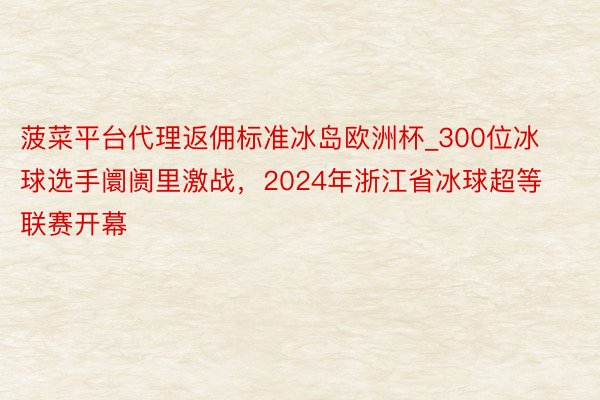 菠菜平台代理返佣标准冰岛欧洲杯_300位冰球选手阛阓里激战，2024年浙江省冰球超等联赛开幕